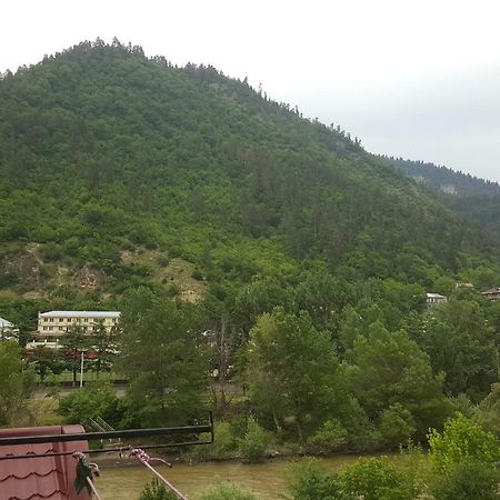 Karlsson Borjomi Apartment. المظهر الخارجي الصورة