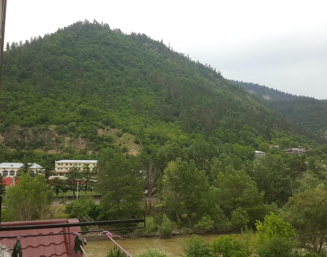Karlsson Borjomi Apartment. المظهر الخارجي الصورة
